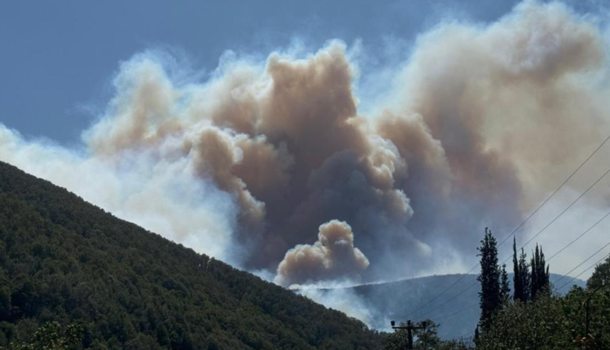 karamürsel yangın karamürsel haber bursa orman yangını kocaeli yangın orman yangını