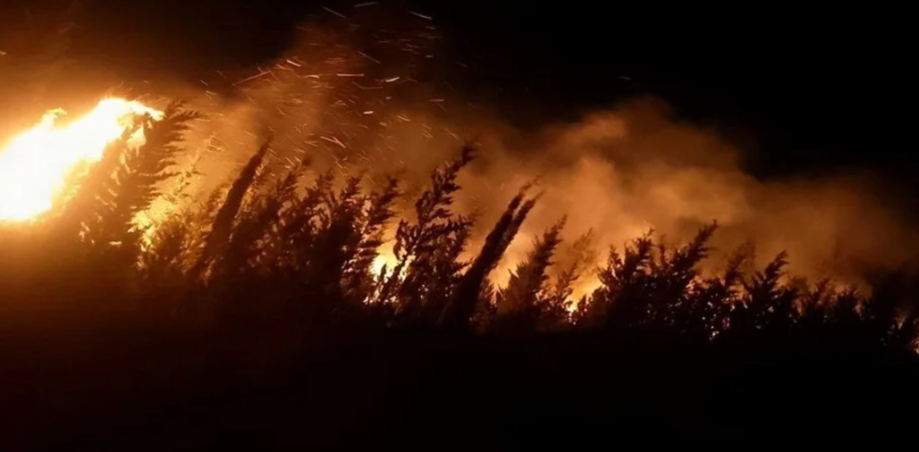 son dakika orman yangını, orman yangını son dakika, karamürsel orman yangını son dakika, karamürsel orman yangını, karamürsel yangını