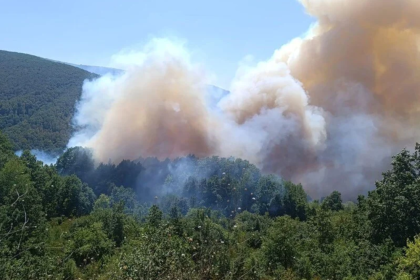 son dakika orman yangını, orman yangını son dakika, karamürsel orman yangını son dakika, karamürsel orman yangını, karamürsel yangını