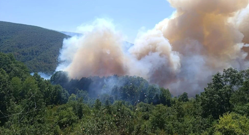 son dakika orman yangını, orman yangını son dakika, karamürsel orman yangını son dakika, karamürsel orman yangını, karamürsel yangını