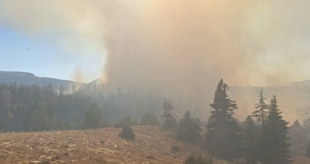 son dakika orman yangını, diyarbakır yangın, diyarbakır lice yangın, orman yangını, afyonkarahisar yangın