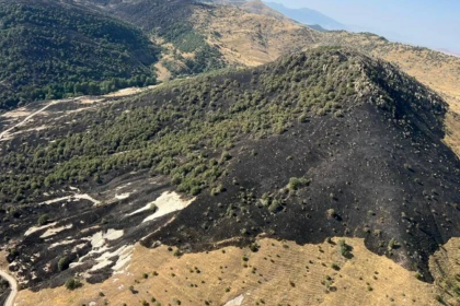 son dakika orman yangını, diyarbakır yangın, diyarbakır lice yangın, orman yangını, afyonkarahisar yangın