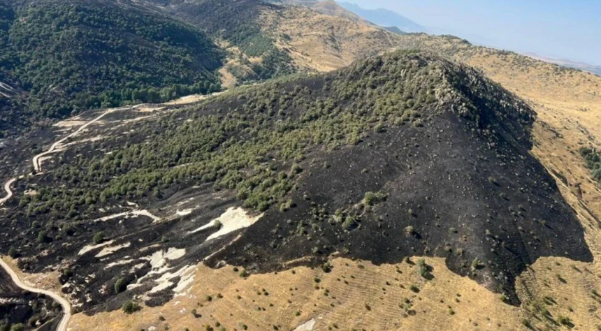 son dakika orman yangını, diyarbakır yangın, diyarbakır lice yangın, orman yangını, afyonkarahisar yangın