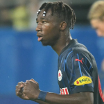 nene fenerbahçe, fb transfer, fenerbahçe transfer söylentileri, dorgeles nene transfermarkt, dorgeles nene fenerbahçe