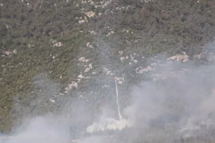 denizli yangın, denizli haber, denizli orman yangını, denizli, orman yangını son dakika