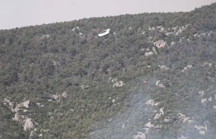 denizli yangın, denizli haber, denizli orman yangını, denizli, orman yangını son dakika