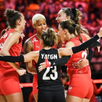 türkiye voleybol maçı, türkiye slovenya voleybol, filenin sultanları maçı, türkiye slovenya voleybol maçı, voleybol maçı