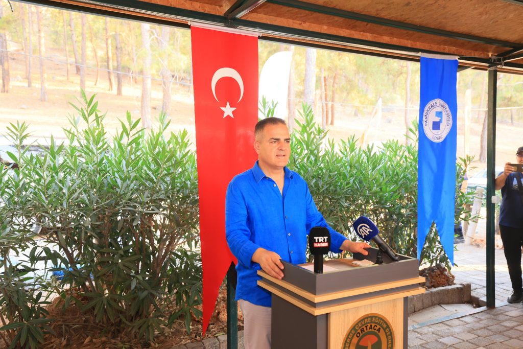 caretta caretta tuba deniz kampumbağası  dekamer