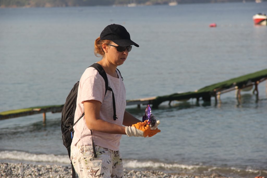 fethiye çalış sahili, fethiye deniz kaplumbağaları, yavru deniz kaplumbağaları, fethiye çöp toplama, fethiye çalış