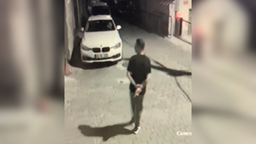 muğla menteşe kadına yönelik şiddet