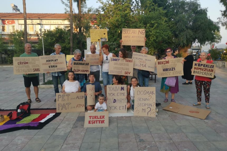 hayvanları koruma kanunu, köyceğiz hayvan, köyceğiz, köyceğiz hayvan hakları, muğla hayvan hakları komisyonu