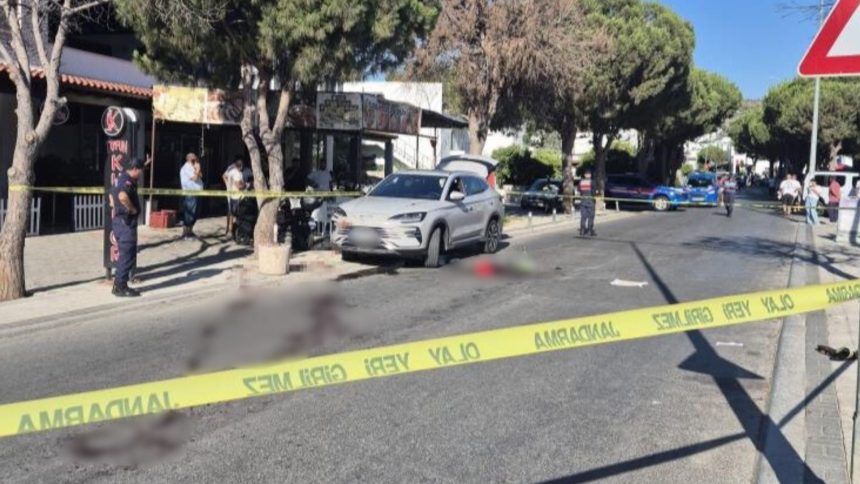 bodrum silahlı kavga, bodrum kavga, bodrum park yeri kavgası, bodrum park kavgası, bodrum