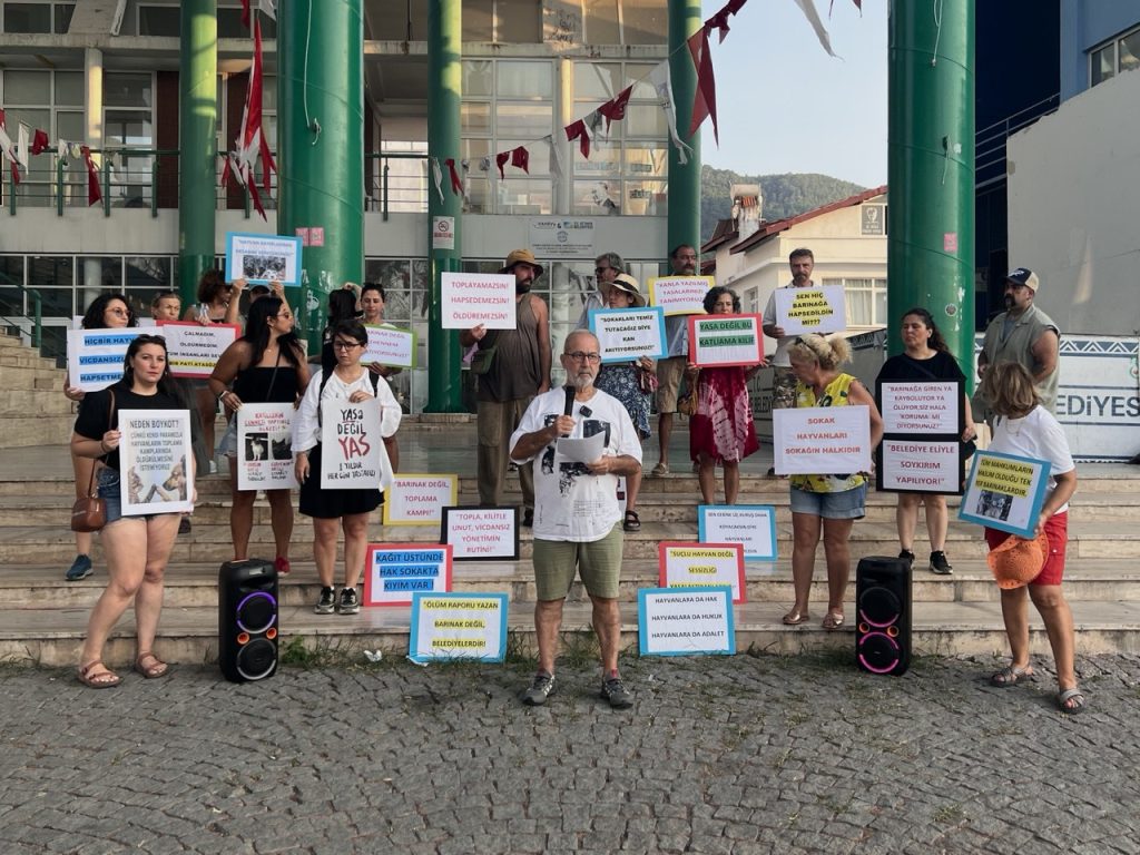 hayvanları koruma kanunu, sokak hayvanları, fethiye, fethiye hayvan hakları, 7527 sayılı kanun