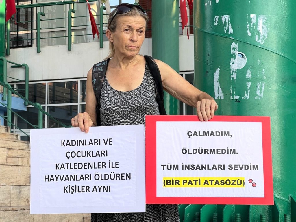 hayvanları koruma kanunu, sokak hayvanları, fethiye, fethiye hayvan hakları, 7527 sayılı kanun