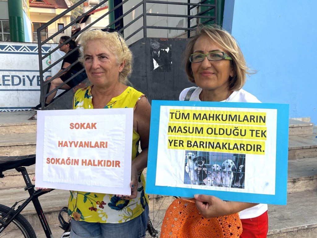 hayvanları koruma kanunu, sokak hayvanları, fethiye, fethiye hayvan hakları, 7527 sayılı kanun