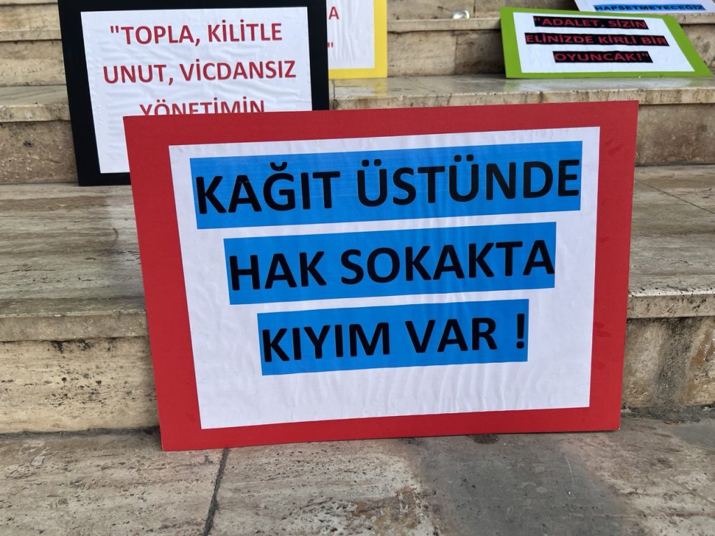 hayvanları koruma kanunu, sokak hayvanları, fethiye, fethiye hayvan hakları, 7527 sayılı kanun