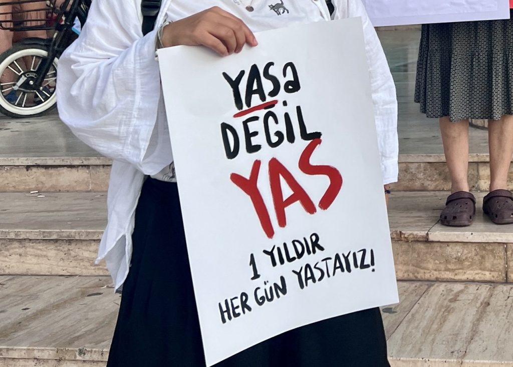 hayvanları koruma kanunu, sokak hayvanları, fethiye, fethiye hayvan hakları, 7527 sayılı kanun