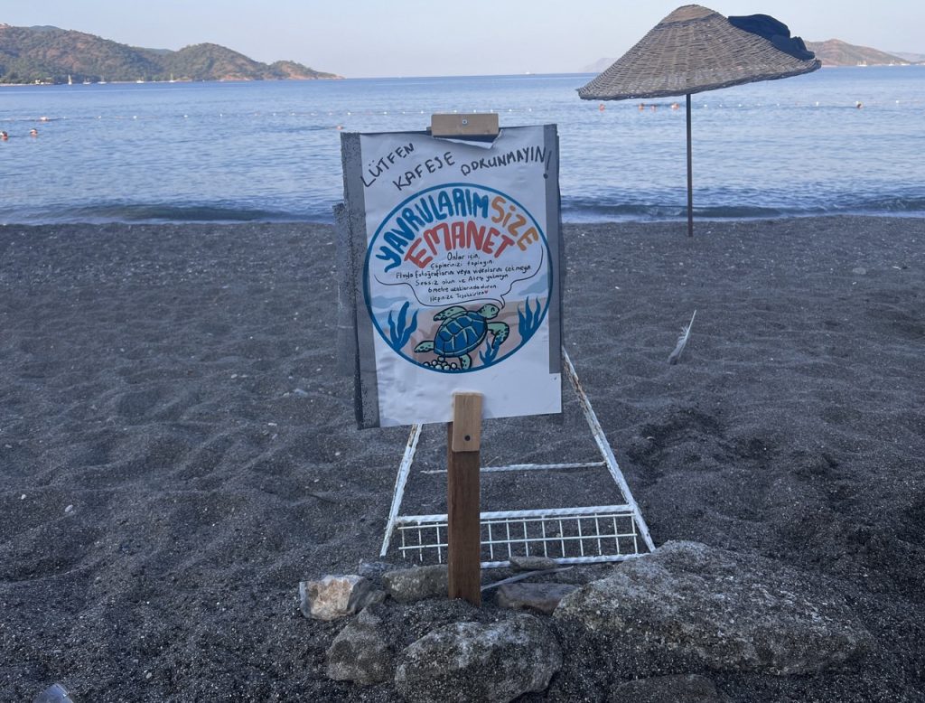 fethiye deniz kaplumbağaları, fethiye çalış, fethiye caretta caretta, deniz kaplumbağası, fethiye çöp toplama