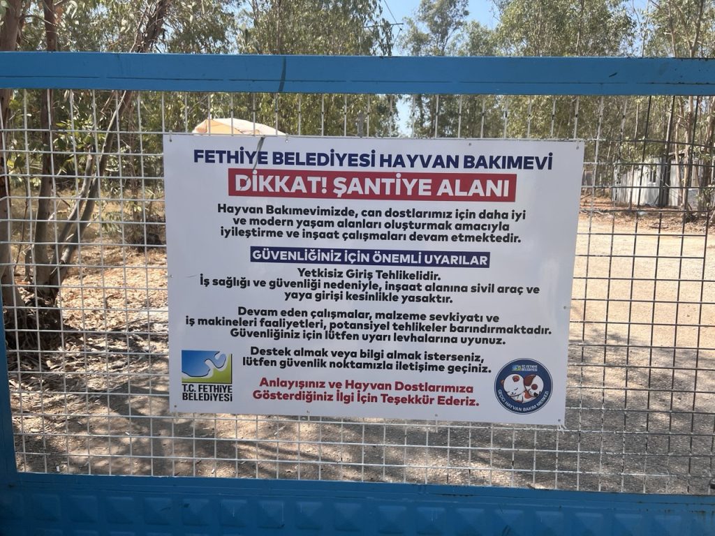 fethiye belediyesi hayvan bakımevi, fethiye barınak, fethiye belediyesi hayvan, fethiye belediyesi, fethiye belediyesi barınak