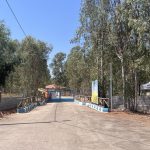 fethiye belediyesi hayvan bakımevi, fethiye barınak, fethiye belediyesi hayvan, fethiye belediyesi, fethiye belediyesi barınak