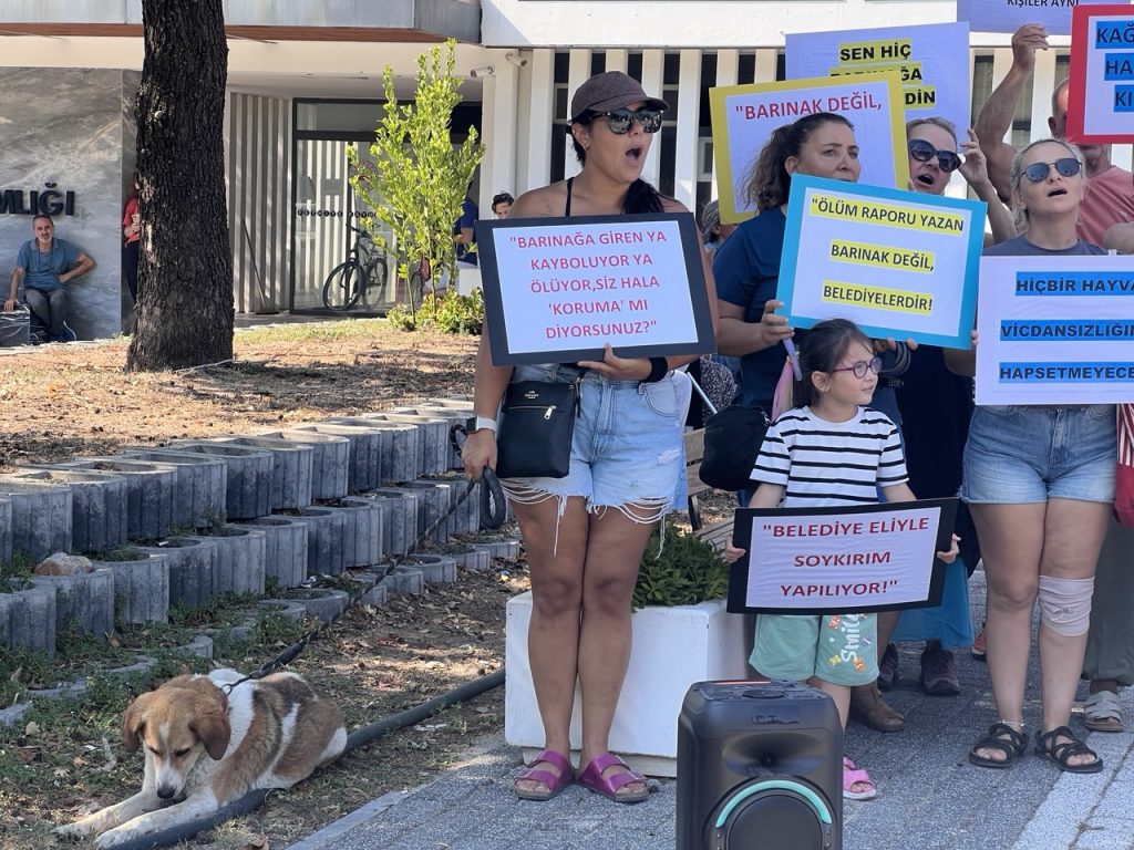 fethiye kaymakamlığı, fethiye yaşam hakkı savunucuları, muğla yaşam hakkı savunucuları, fethiye sokak hayvanları