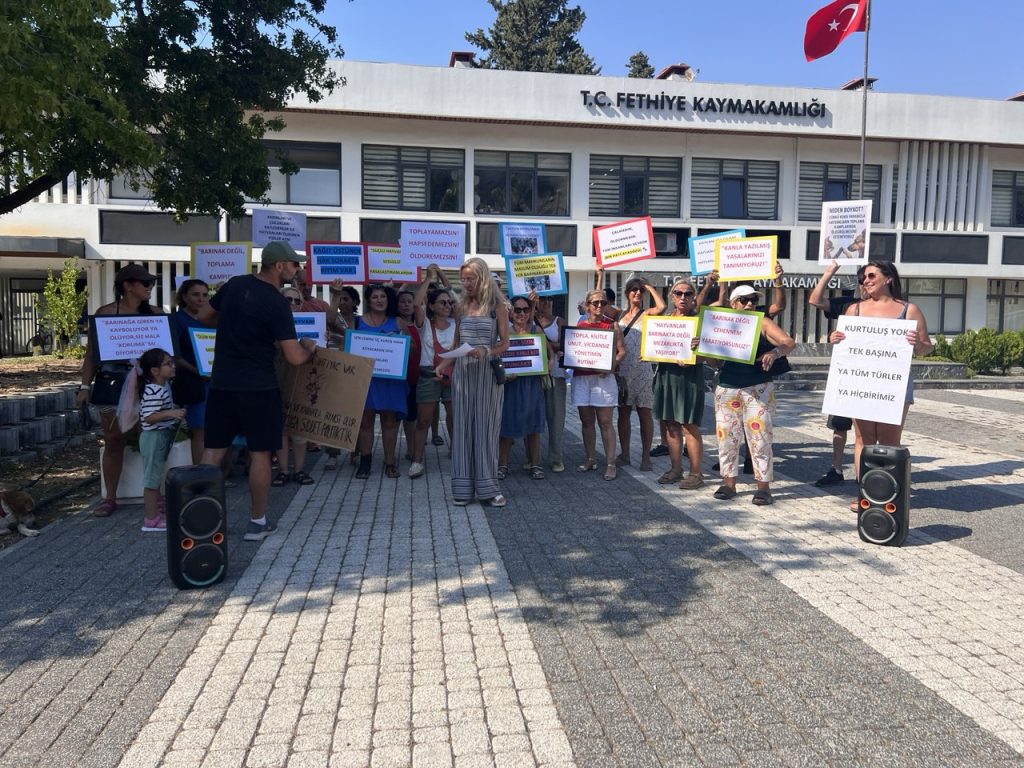 fethiye kaymakamlığı, fethiye yaşam hakkı savunucuları, muğla yaşam hakkı savunucuları, fethiye sokak hayvanları