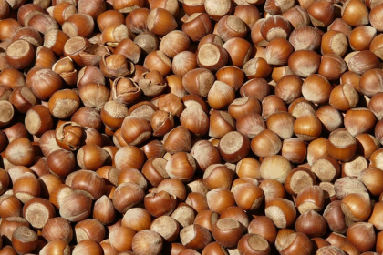 Fındık taban fiyatları 2025, fındık fiyatları ne zaman açıklanacak, TMO fındık fiyatları ne kadar, fındık fiyatları, TMO fiyatları.