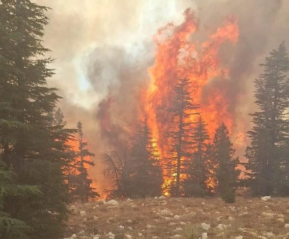 son dakika orman yangını, diyarbakır yangın, diyarbakır lice yangın, orman yangını, afyonkarahisar yangın