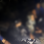 seydikemer karadere göçmen kaçakçılığı operasyonu