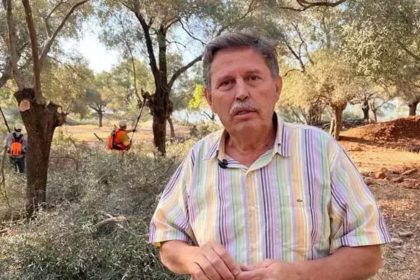 ikizköy, akbelen nerede, akp akbelen, ikizköy zeytin ağacı, ikizköy akp