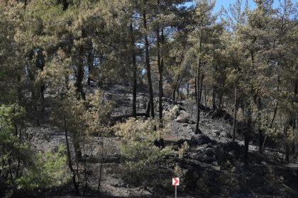 milas kıyıkışlacık, milas kıyıkışlacık yangın, milas yangın, milas orman yangını, milas