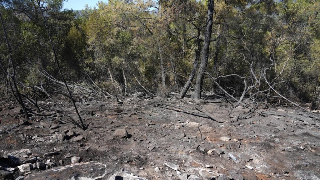 milas kıyıkışlacık, milas kıyıkışlacık yangın, milas yangın, milas orman yangını, milas