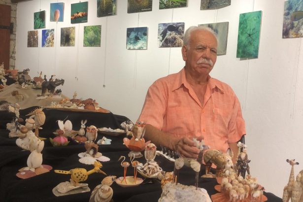 datça sergi, datça, datça liman sanat galerisi, muzaffet mut, datça liman sanat galerisi, deniz kabuğundan figür, su altı fotoğrafları