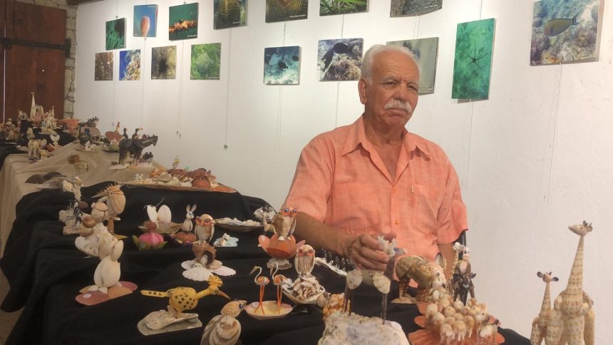datça sergi, datça, datça liman sanat galerisi, muzaffet mut, datça liman sanat galerisi, deniz kabuğundan figür, su altı fotoğrafları