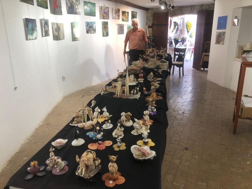 datça sergi, datça, datça liman sanat galerisi, muzaffet mut, datça liman sanat galerisi, deniz kabuğundan figür, su altı fotoğrafları