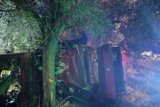 milas kaza, milas trafik kazası, milasta otomobil şarampole yuvarlandı, milasta iki kişi hayatını kaybetti