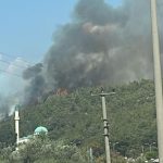 bodrum orman yangını, bodrum yangın, bodrum güvercinlik mahallesi , bodrum güvercinlik mahallesi yangın, bodrum güvercinlik mahallesi orman