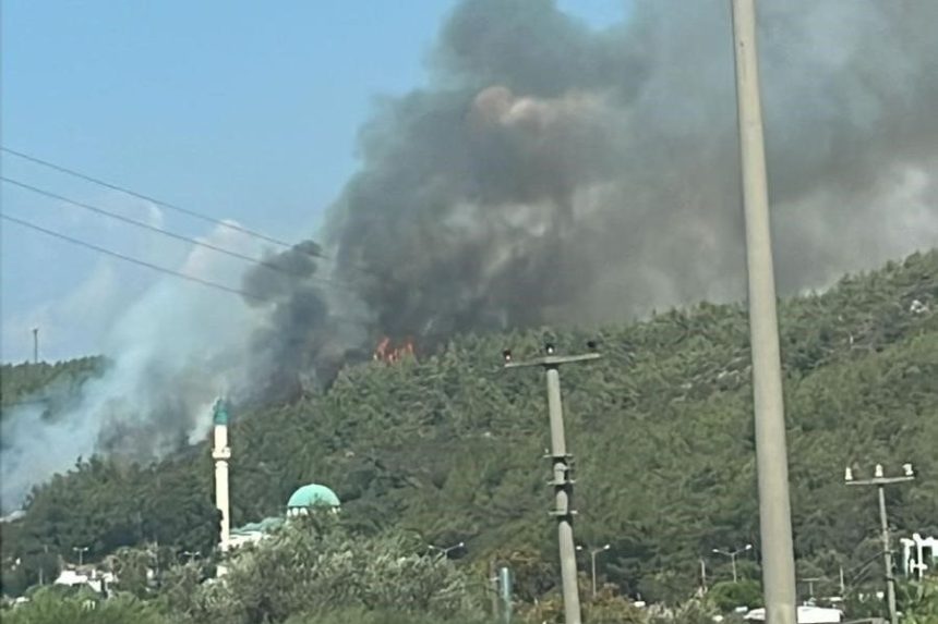 bodrum orman yangını, bodrum yangın, bodrum güvercinlik mahallesi , bodrum güvercinlik mahallesi yangın, bodrum güvercinlik mahallesi orman