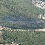bodrum yangın, bodrum yangın kontrol altına alındı, bodrum orman yangını, bodrum güvercinlik mahallesi, bodrum