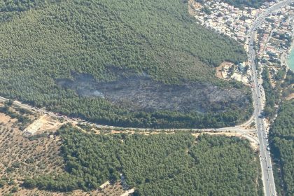 bodrum yangın, bodrum yangın kontrol altına alındı, bodrum orman yangını, bodrum güvercinlik mahallesi, bodrum