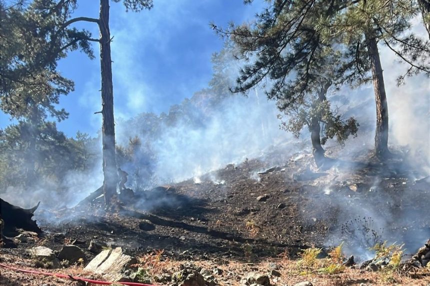 köyceğiz orman yangını, köyceğiz yangın, köyceğiz otmanlar mahallesi, köyceğiz otmanlar, köyceğiz otmanlar yangın