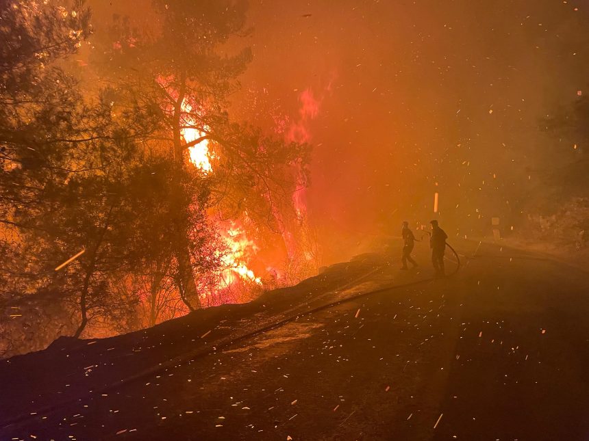 muğla köyceğiz milas orman yangını yangın