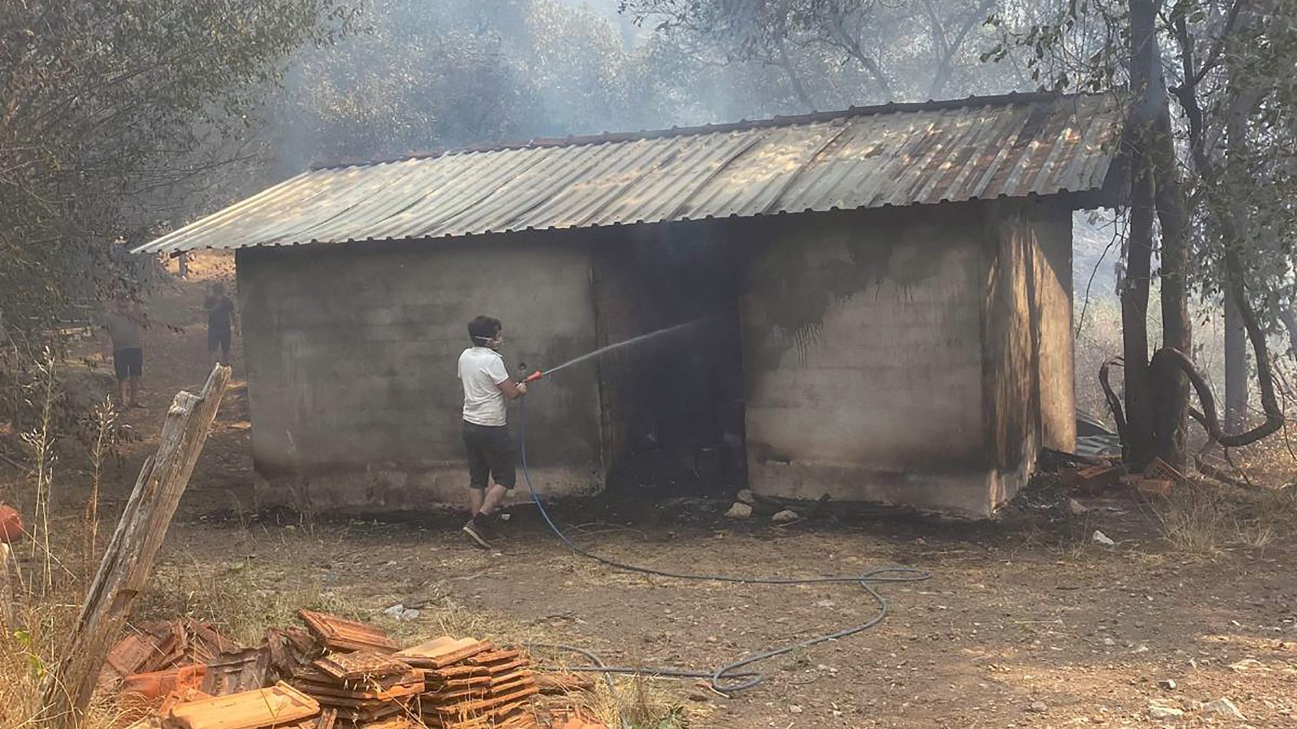 köyceğiz orman yangını muğla orman yangını muğla orman yangını son dakika