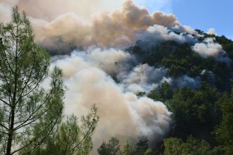 muğla orman yangını ibrahim yumaklı orman yangını son dakika