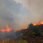muğla yangın, milas yangın, köyceğiz yangın, muğlada yangınlar söndü mü, muğlada yangın