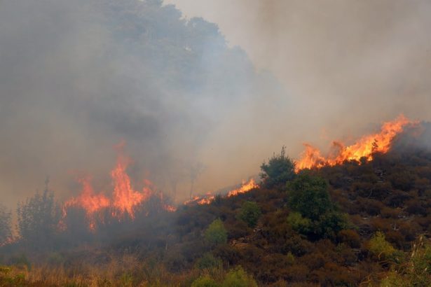 muğla yangın, milas yangın, köyceğiz yangın, muğlada yangınlar söndü mü, muğlada yangın