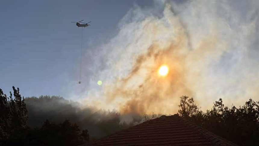 köyceğiz yangın, köyceğiz akköprü, köyceğiz akköprü yangın, köyceğiz orman yangını, köyceğiz