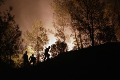 gizem özcan, chp muğla milletvekili, chp muğla milletvekili gizem özcan, yangınla mücadele, marmaris görkem hasdemir