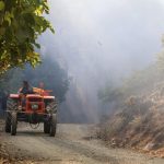 köyceğiz yangın, köyceğiz orman yangını, köyceğiz nerede, köyceğiz belediyesi, muğla köyceğiz