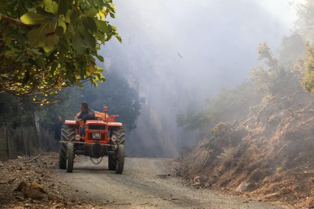 köyceğiz yangın, köyceğiz orman yangını, köyceğiz nerede, köyceğiz belediyesi, muğla köyceğiz